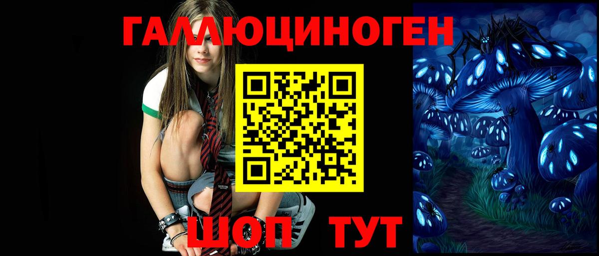 Галлюциногенные грибы Psilocybe Татарск